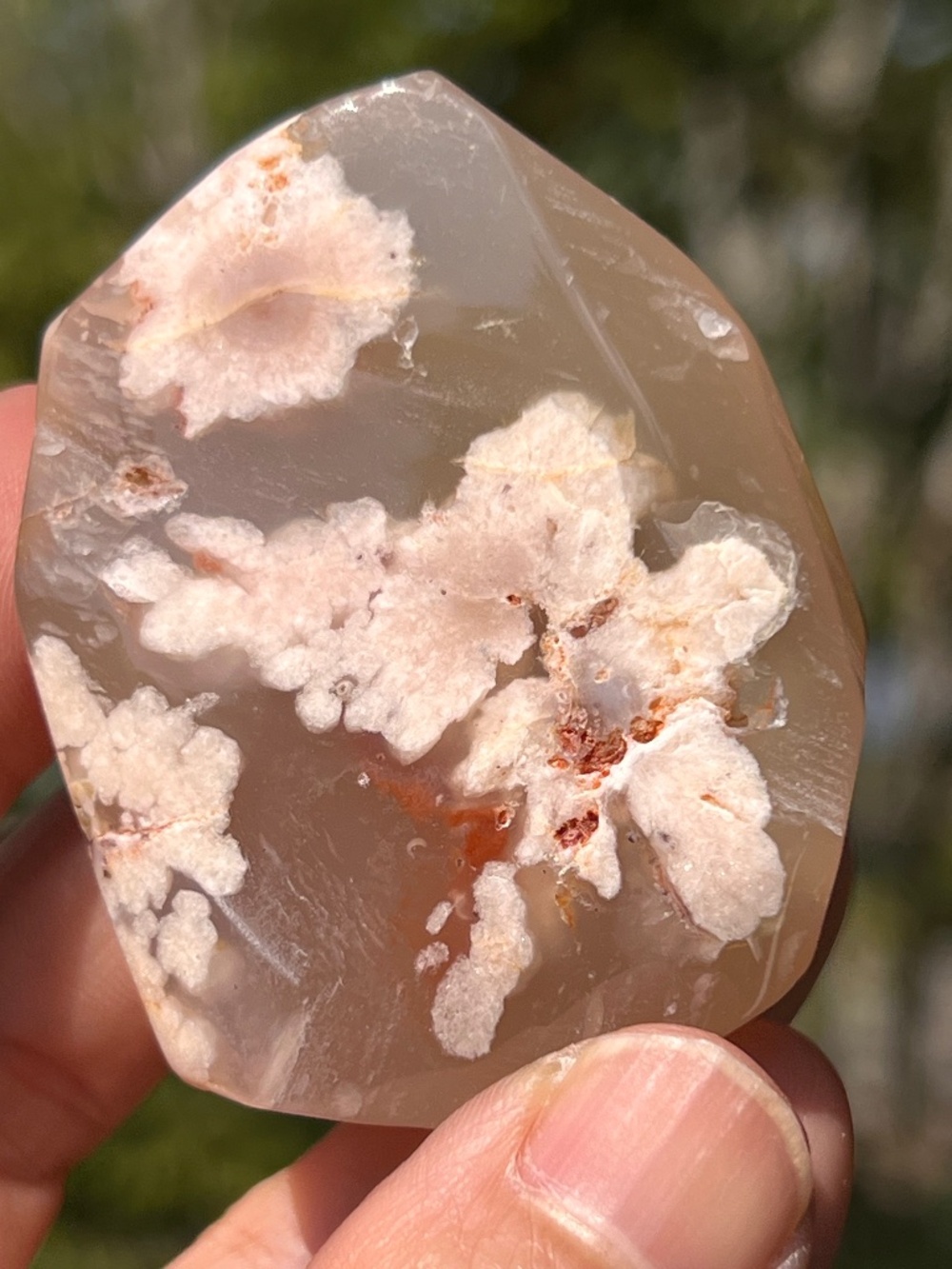 Pink (2) flower agate freeform | Crystal